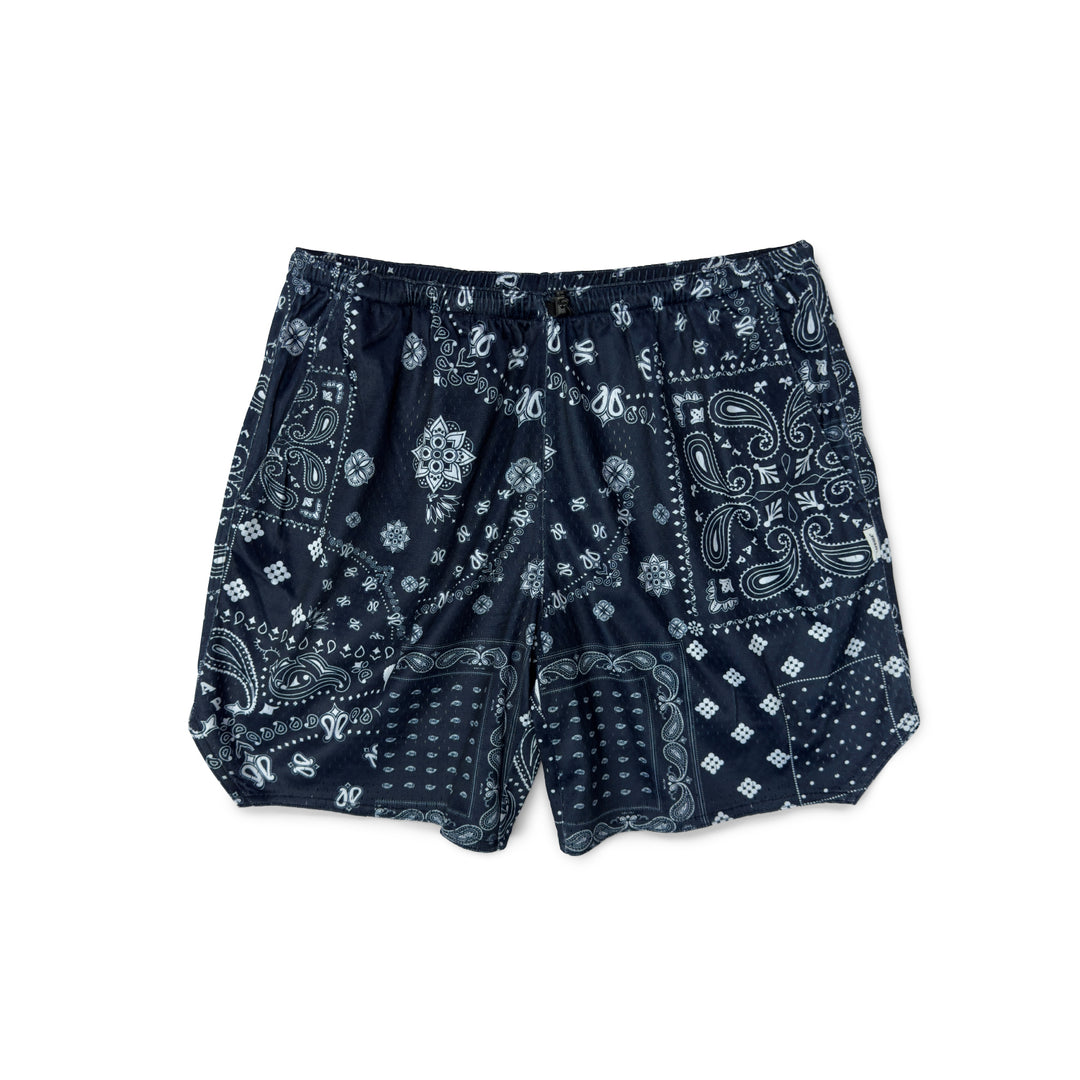 Paisley Beach Shorts